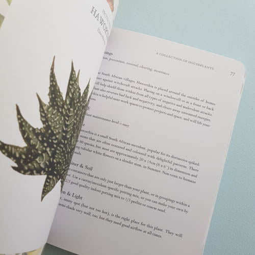 The Language of Houseplants image 2