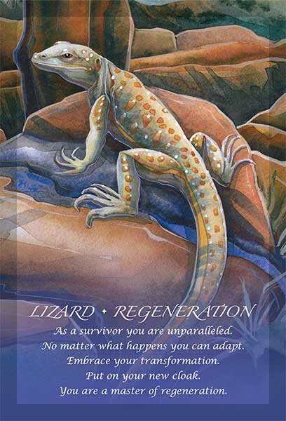 Spirit of the Animals Oracle Deck image 3