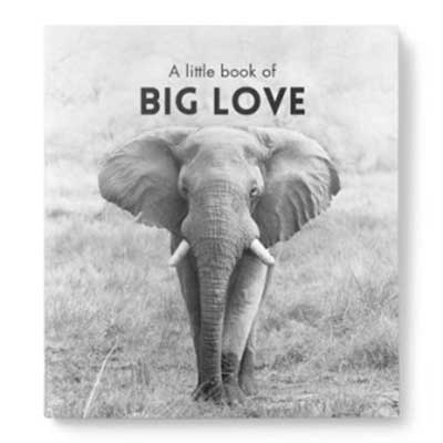 Little Book of Big Love image 0