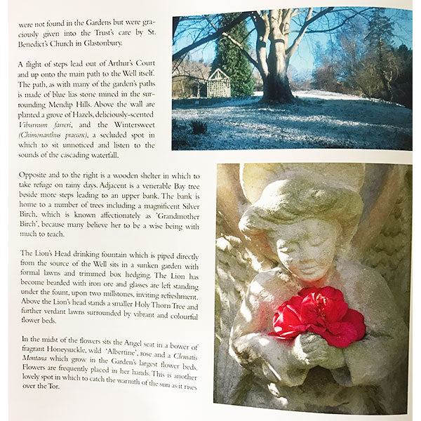 Chalice Well image 3