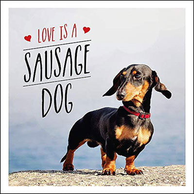 Love is a Sausage Dog image 0