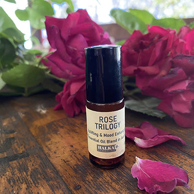 Rose Trilogy Essential Oil Blend - 6ml Roll on image 0