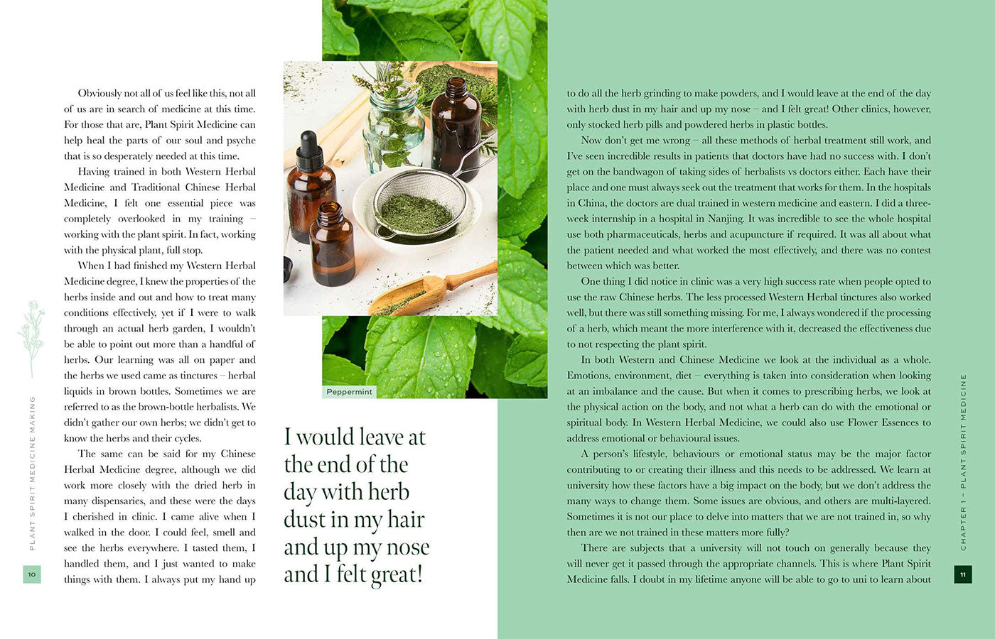 Plant Spirit Medicine image 3