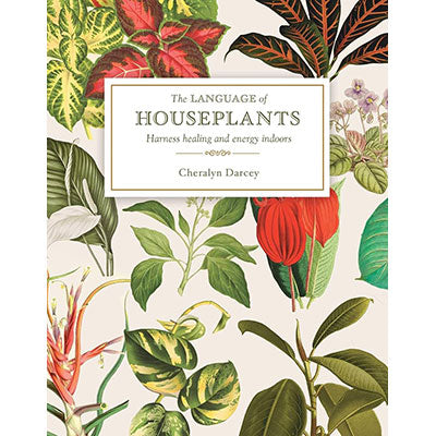 The Language of Houseplants image 0