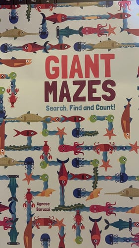 Giant Mazes Search, Find and Count!