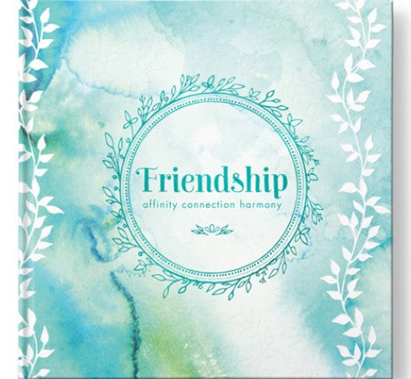 Friendship - Affinity Connection Harmony