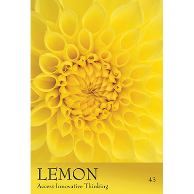The Secret Language of Colour Cards image 2