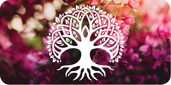 Daily Healing Cards image 4