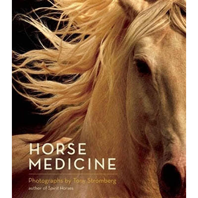 Horse Medicine image 0
