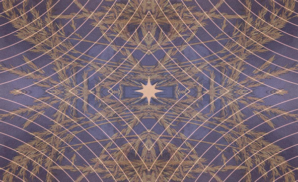 Horse Wisdom Oracle image 6