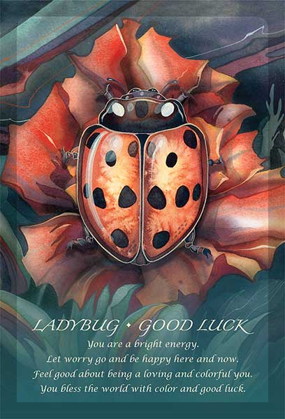 Spirit of the Animals Oracle Deck image 2