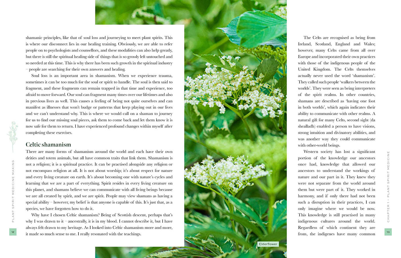 Plant Spirit Medicine image 5