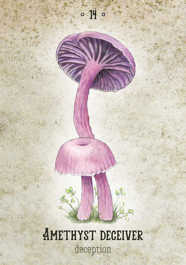 Mushroom Spirit Oracle image 2