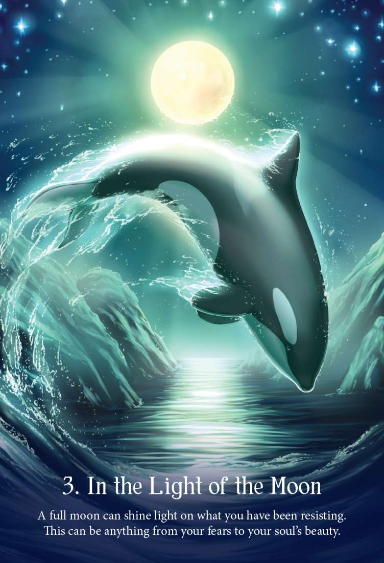 Whispers Of The Ocean image 3