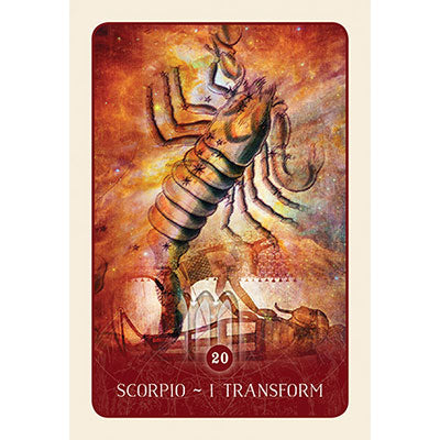 Black Moon Astrology Cards image 5