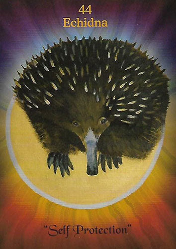 Australian Wildlife Wisdom Set image 5