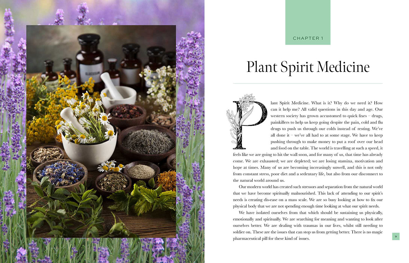 Plant Spirit Medicine image 2