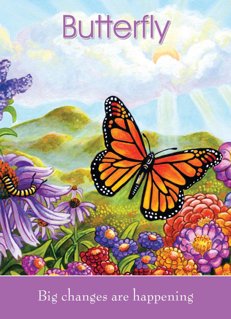 Children's Spirit Animal Cards image 3