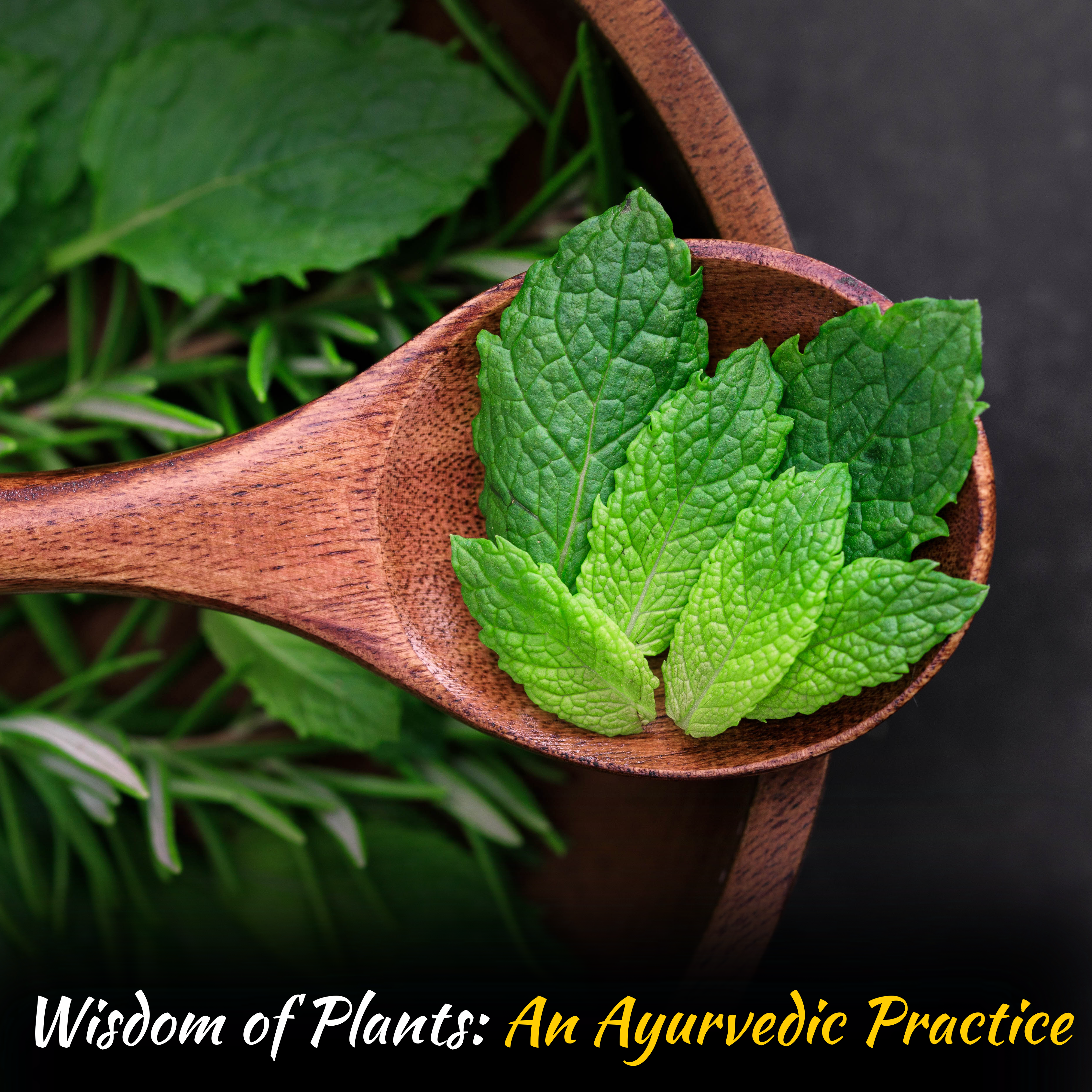 The Wisdom Of Plants - 20 Sep 2026