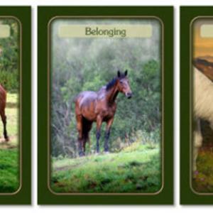 Horse Power Message Cards