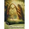 Grace Cards - Illumination