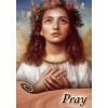 Grace Cards - Pray