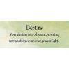 Healing Angel Cards - Destiny