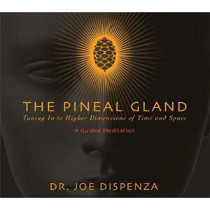 The Pineal Gland Tuning In to Higher Dimensions of Time and Space