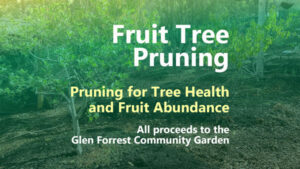 Community Fruit Tree Pruning Workshop @ The Sound Temple