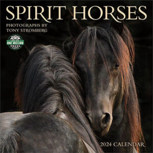 2024 Spirit Horses Wall Calendar