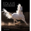 Equus 2024 Wall Calendar