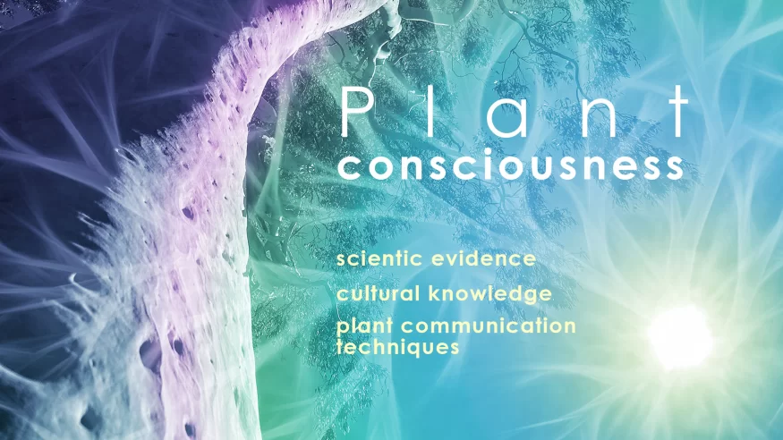 The Interconnectedness Between Plant and Human Consciousness